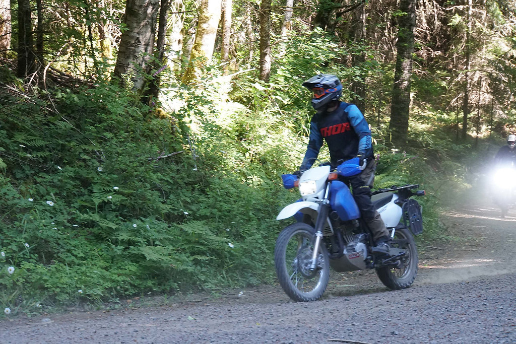 50138125188_3a99225c90_o-XL.jpg