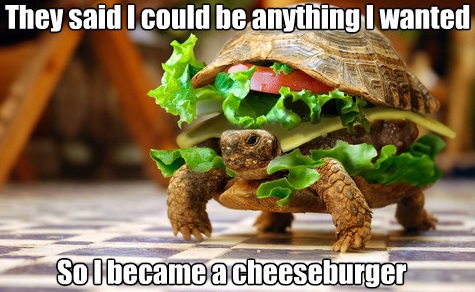 cheese-burgtle_o_1548269.jpg