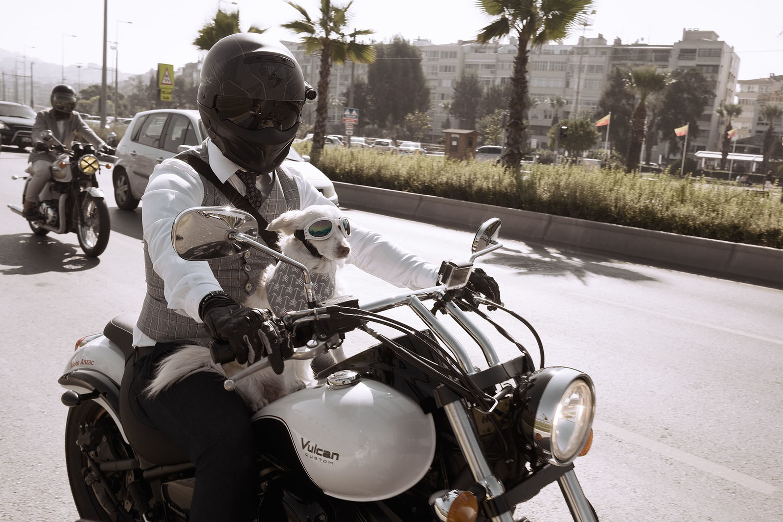 close-up.jpg close-up.jpg