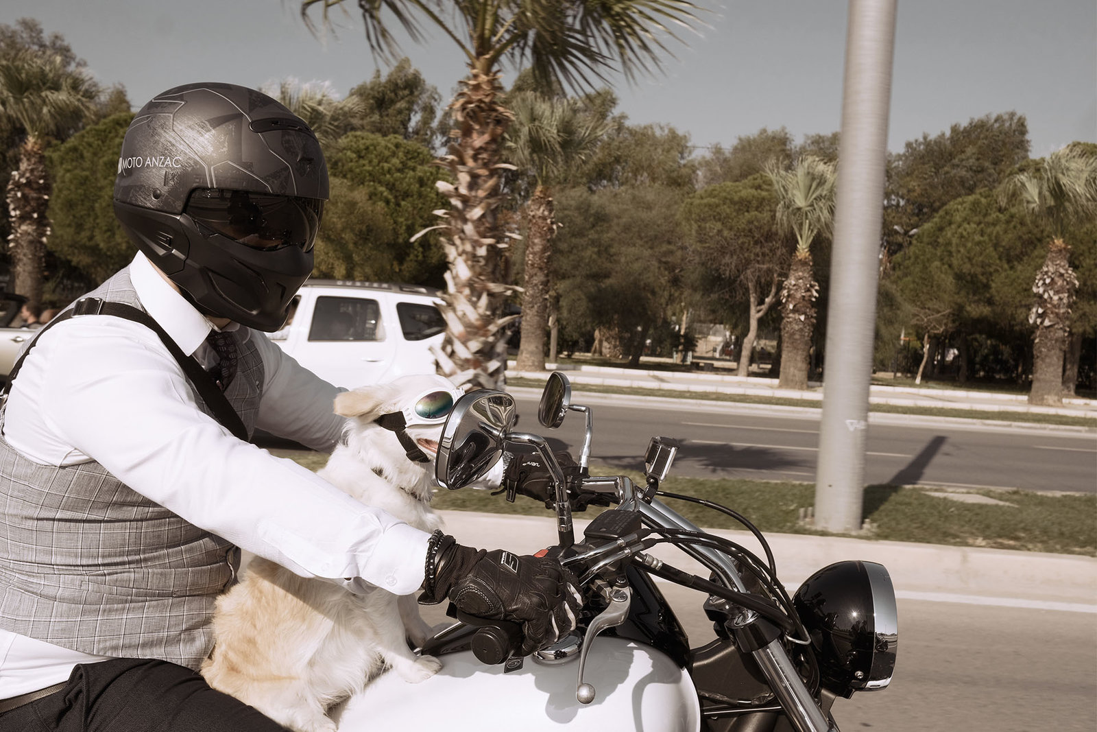 cruising.jpg cruising.jpg