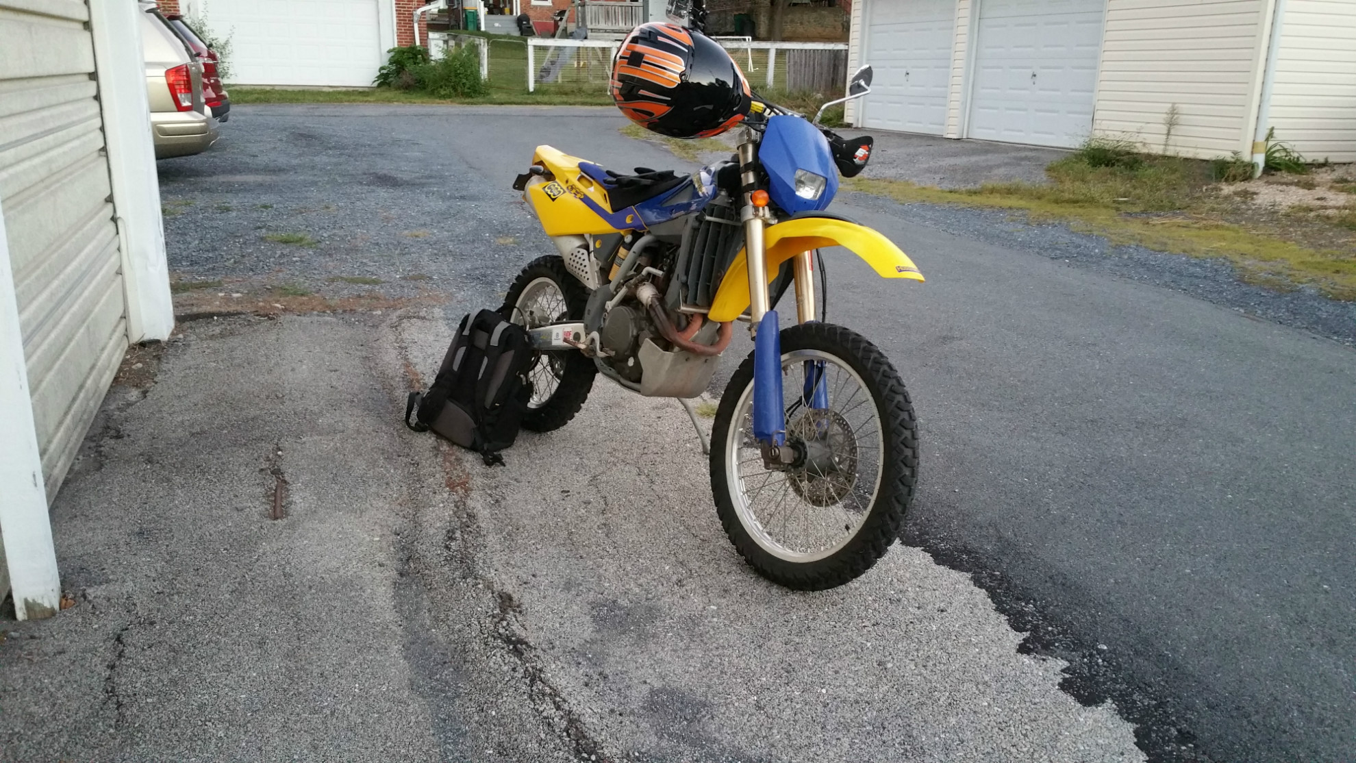 husky3.jpg husky3.jpg