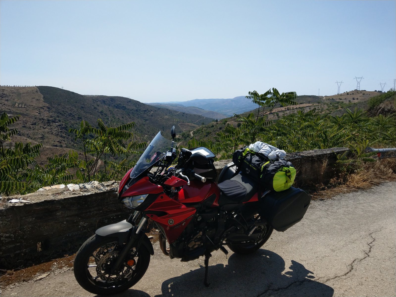 IMAG0717.jpg
