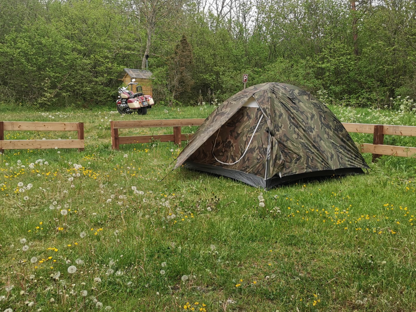 IMG_20250528_195016.jpg