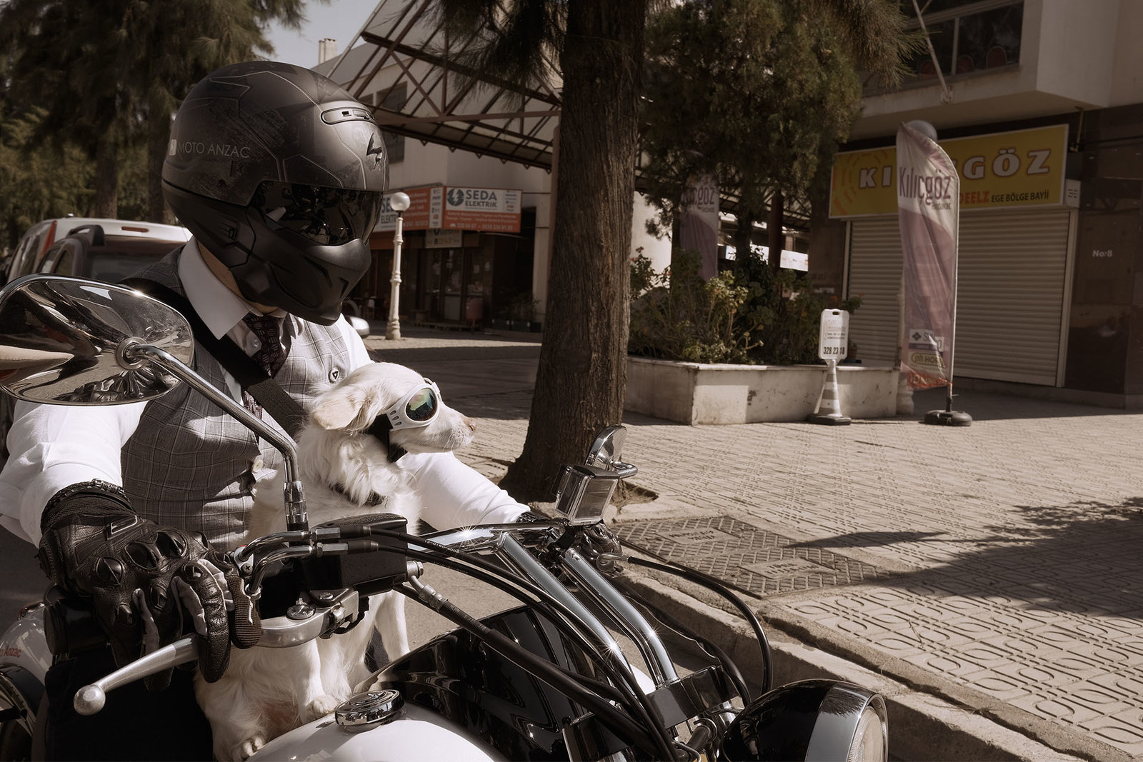 Look the other way.jpg Look the other way.jpg