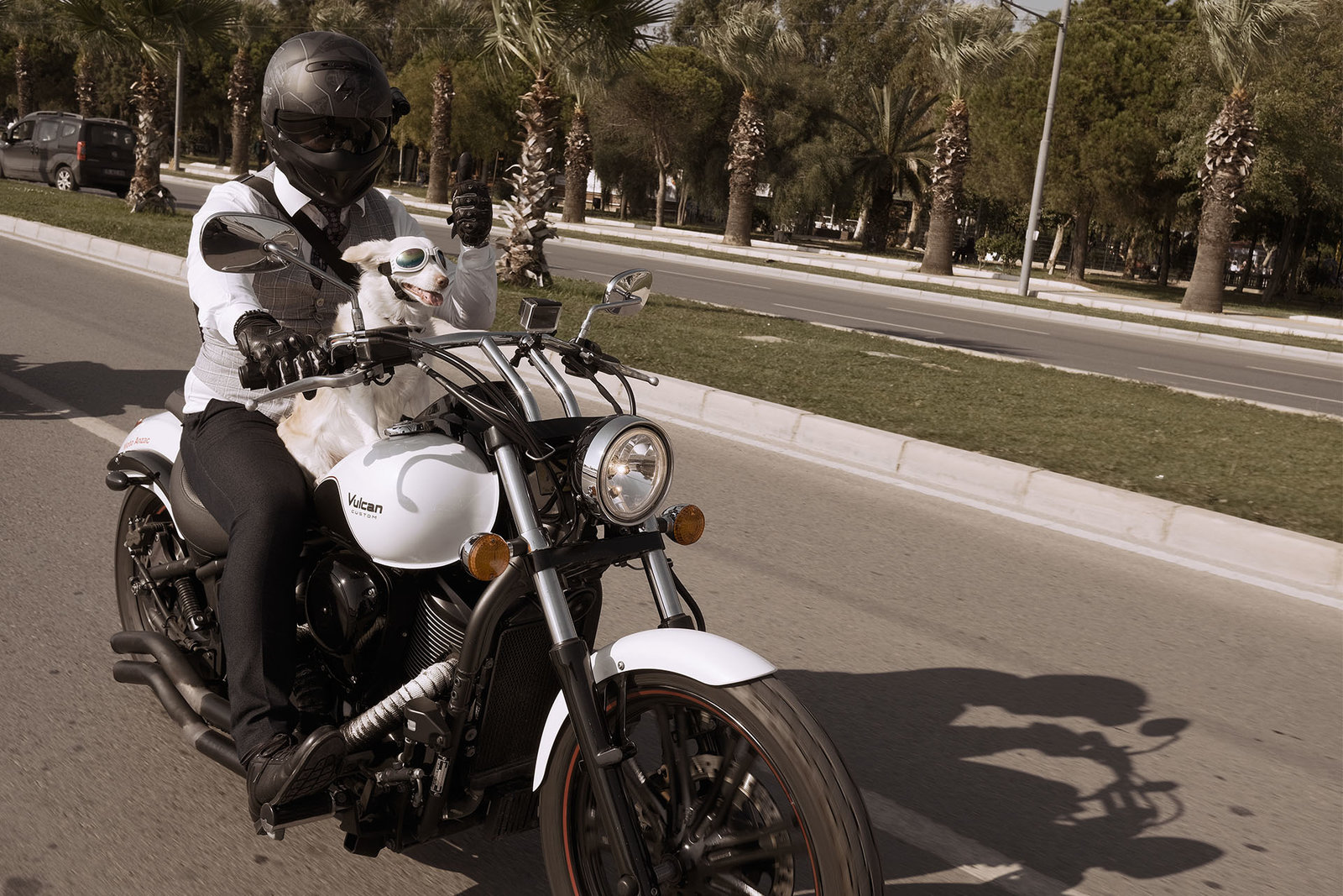 posingthumbsup.jpg posingthumbsup.jpg