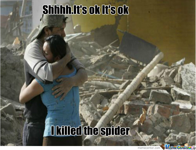 spider-spider-spider-spider-spider_o_620677.jpg