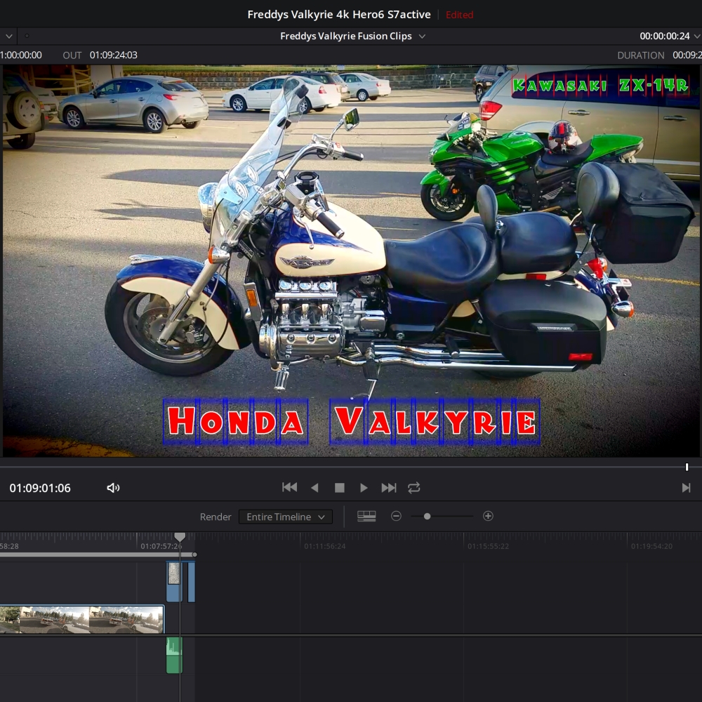 Valkyrie And Ninja.JPG