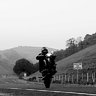 Moto Mush