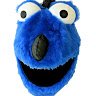 BlueFurryB